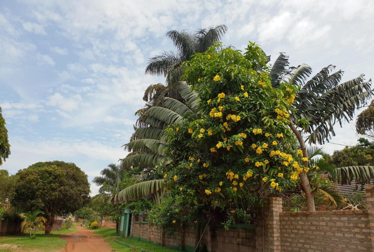 Anna'S Place Entebbe Bed & Breakfast Eksteriør bilde